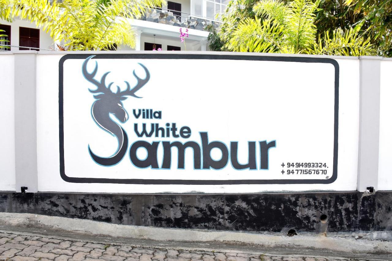 Villa De White Sambur Хіккадува Екстер'єр фото