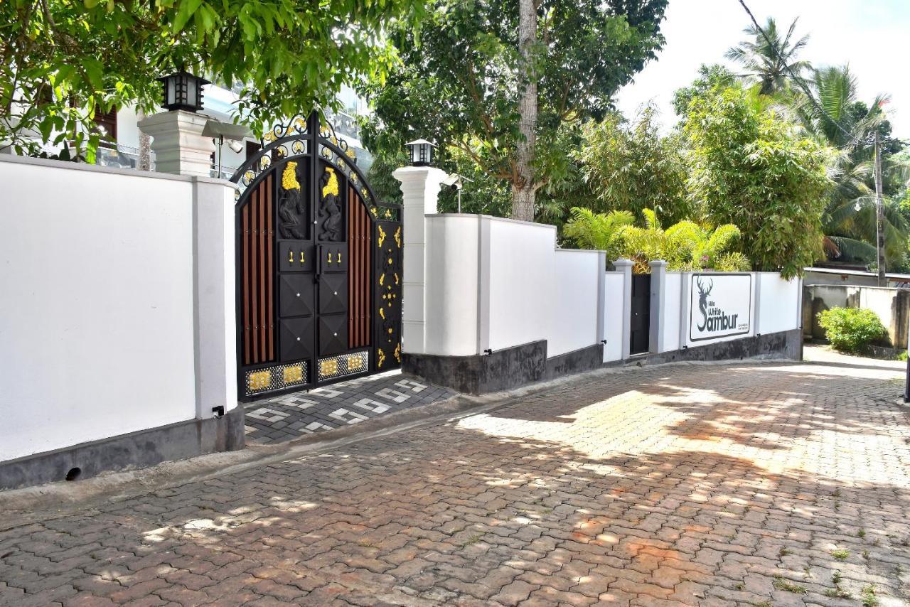 Villa De White Sambur Хіккадува Екстер'єр фото
